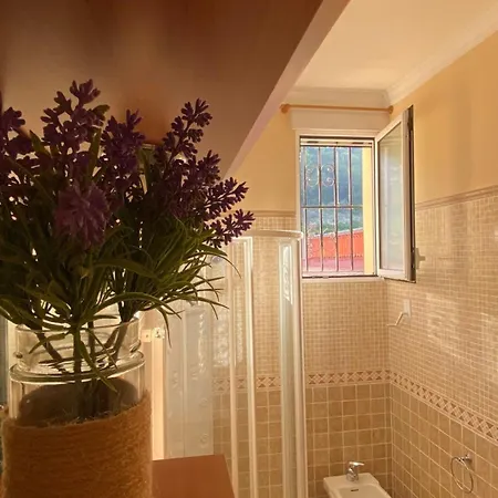 Bamboo With Mountain Views And Lots Of Natural Light Gasthuis Alzira